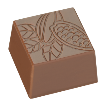Praliné quadrado "Vagem de cacau" 10g HB-9144-S