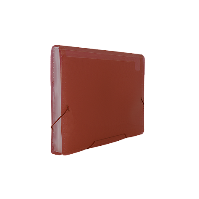 PASTA SANFONADA A-4 12 DIVISOES SKIN MARROM