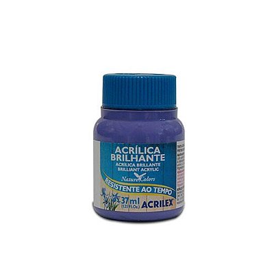 TINTA ACRILICA BRILHANTE 037ML VIOLETA