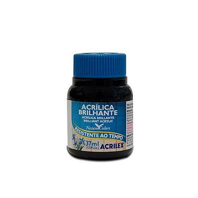 TINTA ACRILICA BRILHANTE 037ML PRETA
