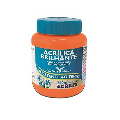 TINTA ACRILICA BRILHANTE 250ML LARANJA