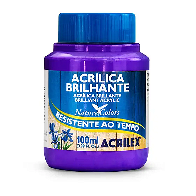 TINTA ACRILICA BRILHANTE 100ML VIOLETA