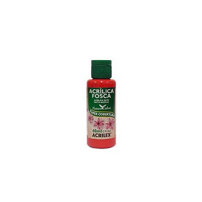TINTA ACRILICA FOSCA 060ML ROMA