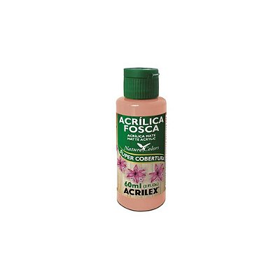TINTA ACRILICA FOSCA 060ML SALMAO