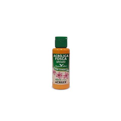 TINTA ACRILICA FOSCA 060ML AMENDOA