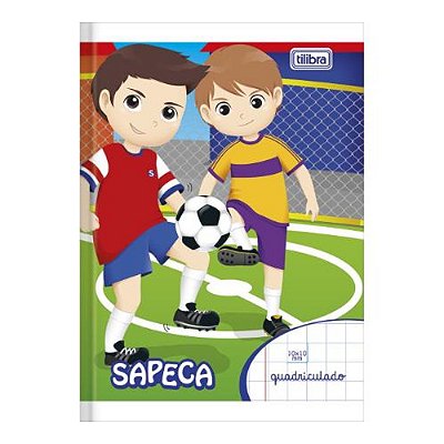 CADERNO QUADRICULADO 040FLS AR