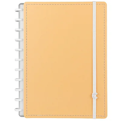 CADERNO INTELIGENTE GRANDE LARANJA PASTEL 80F UNI
