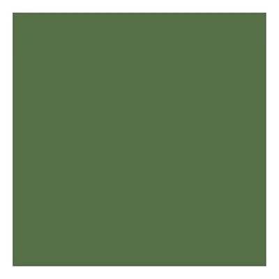 EVA COLOR VERDE MUSGO 40X48CM