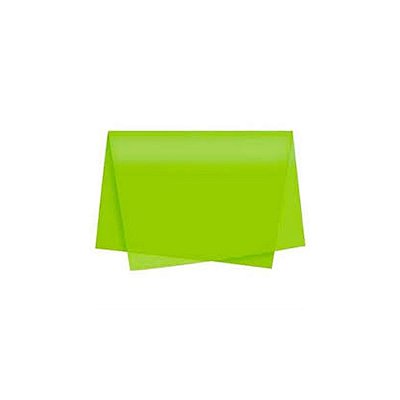 PAPEL SEDA 48X60CM VERDE CLARO