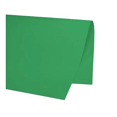 PAPEL COLOR SET 48X66CM VERDE