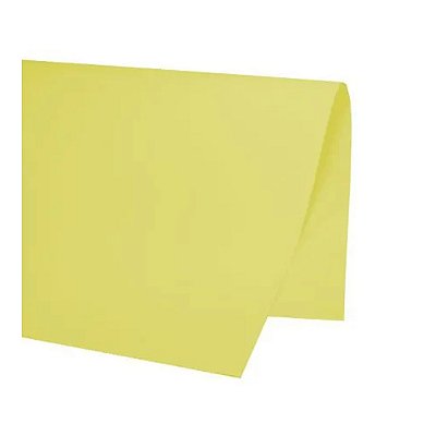 PAPEL COLOR SET 48X66CM AMARELO