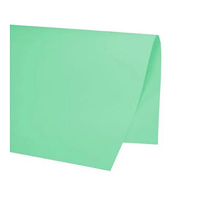PAPEL COLOR SET 48X66CM VERDE CLARO