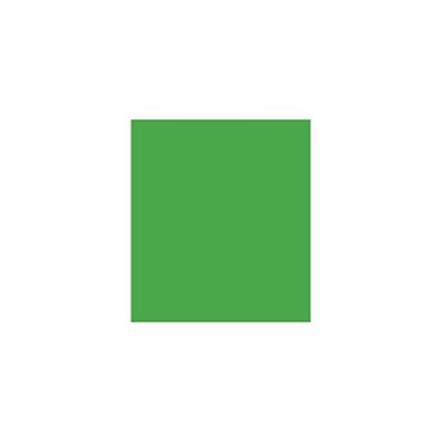 PAPEL COLOR PLUS 120G 50X65CM  VERDE CLARO