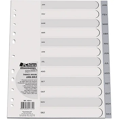 INDICE ANUAL A4 12 DIVISOES JAN/DEZ CINZA