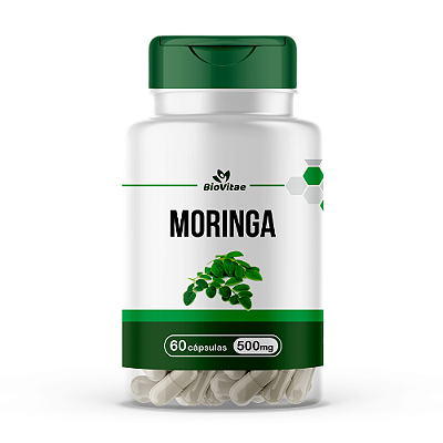 MORINGA OLEÍFERA 500mg