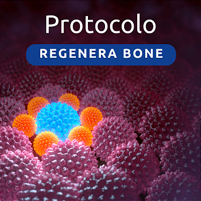 Protocolo Regenera Bone