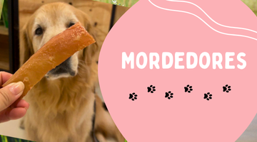 Mordedores