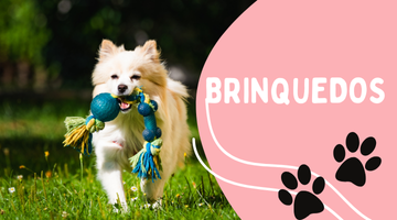 Brinquedos