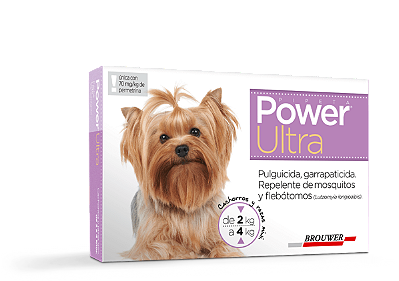 POWER ULTRA 2 A 4 KG  PROT 6 SEMANAS DOZE UNICA