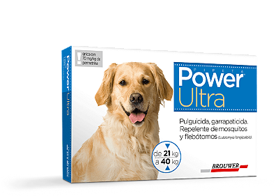 POWER ULTRA 21 A 40 KG  /PROT 6 SEMANAS DOZE UNICA