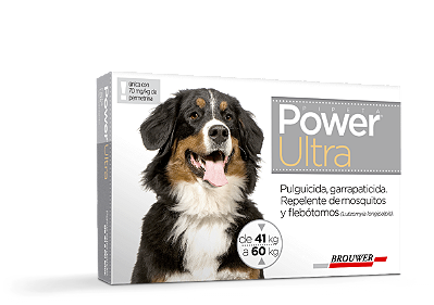 POWER ULTRA 41 A 60 KG  /PROT 6 SEMANAS DOZE UNICA