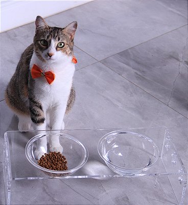 Comedouro Cachorro e Gato Compartimento Duplo M 425ml Acrílico 44cm Acripet House