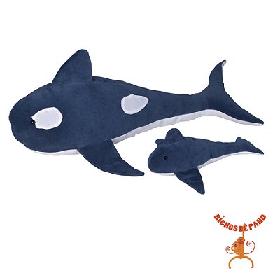 Orca Grávida com 1 Filhote