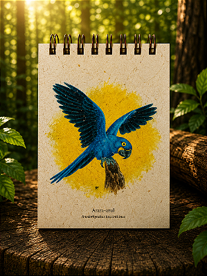 Diário da Floresta M - Arara Azul