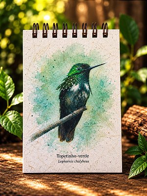 Diário da Floresta M - Topetinho-verde