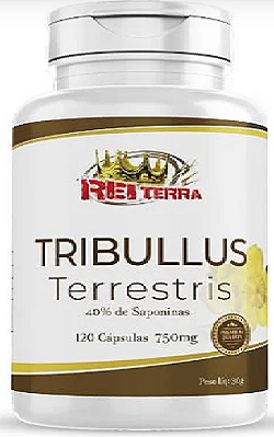 Tribullus Terrestris - 40% De Saponinas - 120 Cápsulas / 750mg - Rei Terra