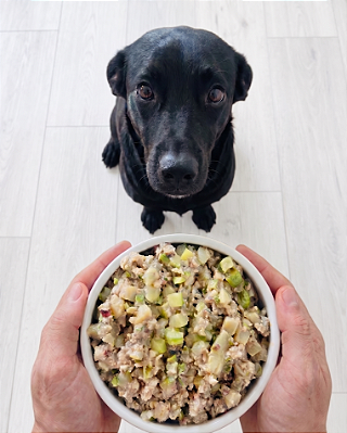 Frango Essencial - Cães Adulto