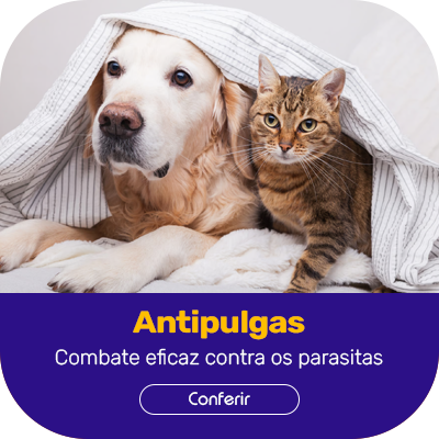 Mini banner antipulgas