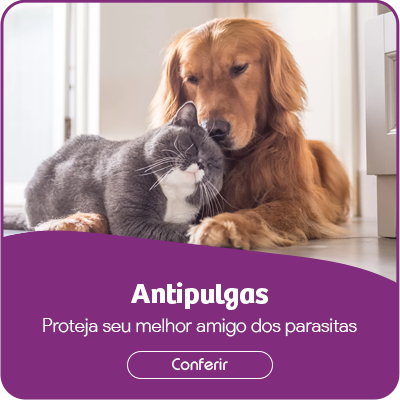 Mini banner antipulgas