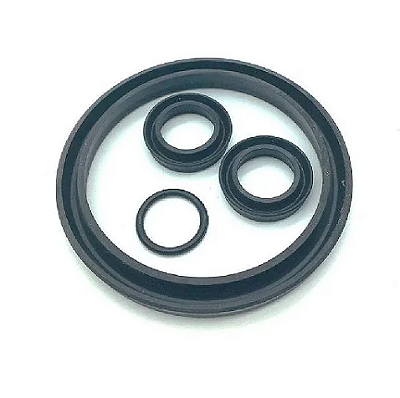 Reparo Válvula de Admissão 2 Pol. C/ 4Pçs - 021.0041-0/AT - Schulz