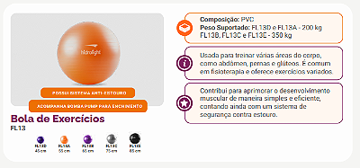 BOLA DE EXERCICIOS CINZA 75CM