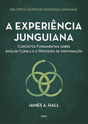 A Experiência Junguiana Conceitos Fundamentais Sobre Análise Clínica E O Processo De Individuação..-