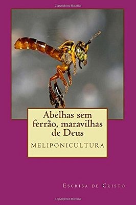 Abelhas Sem Ferrão, Maravilhas De Deus