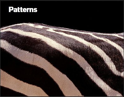 Patterns