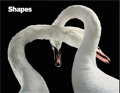 Shapes