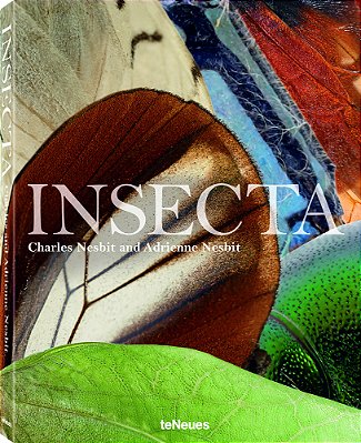 Insecta
