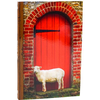 Novo Testamento Com Letra Gigante - Capa Ilustrada Nova Almeida Atualizada (Naa)