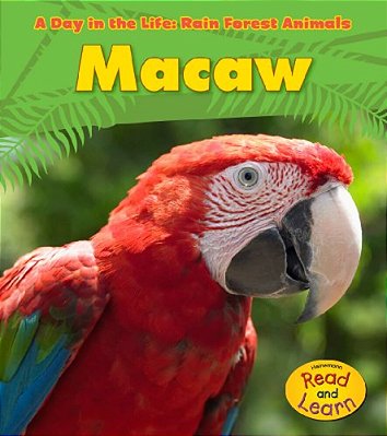 Macaw (A Day In The Life)-..