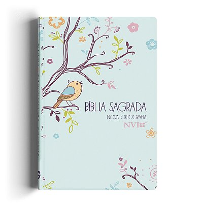 Bíblia Nvi Gigante Novo Testamento - 2 Cores Capa Especial - Um Tempo Especial Com Deus