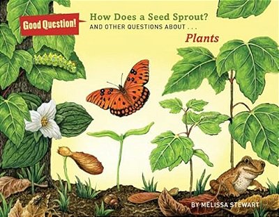 How Does A Seed Sprout-..