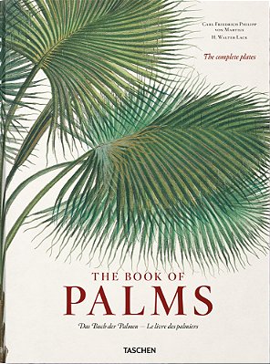 The Book Of Palms