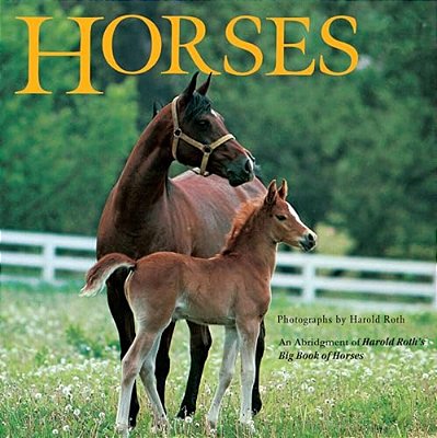 Horses-..