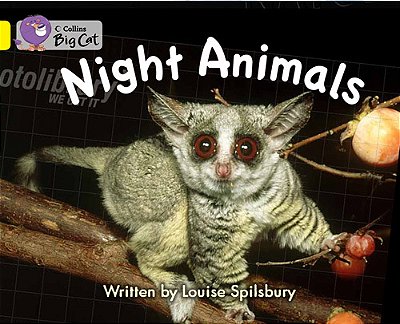 Night Animals - Collins Big Cat - Band 03/Yellow