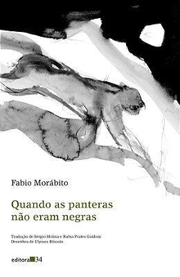 Quando As Panteras Não Eram Negras