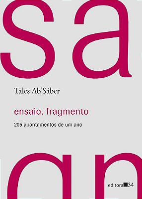Ensaio, Fragmento - 205 Apontamentos De Um Ano