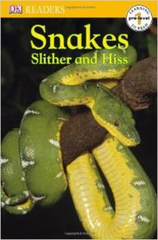 Snakes Slither And Hiss